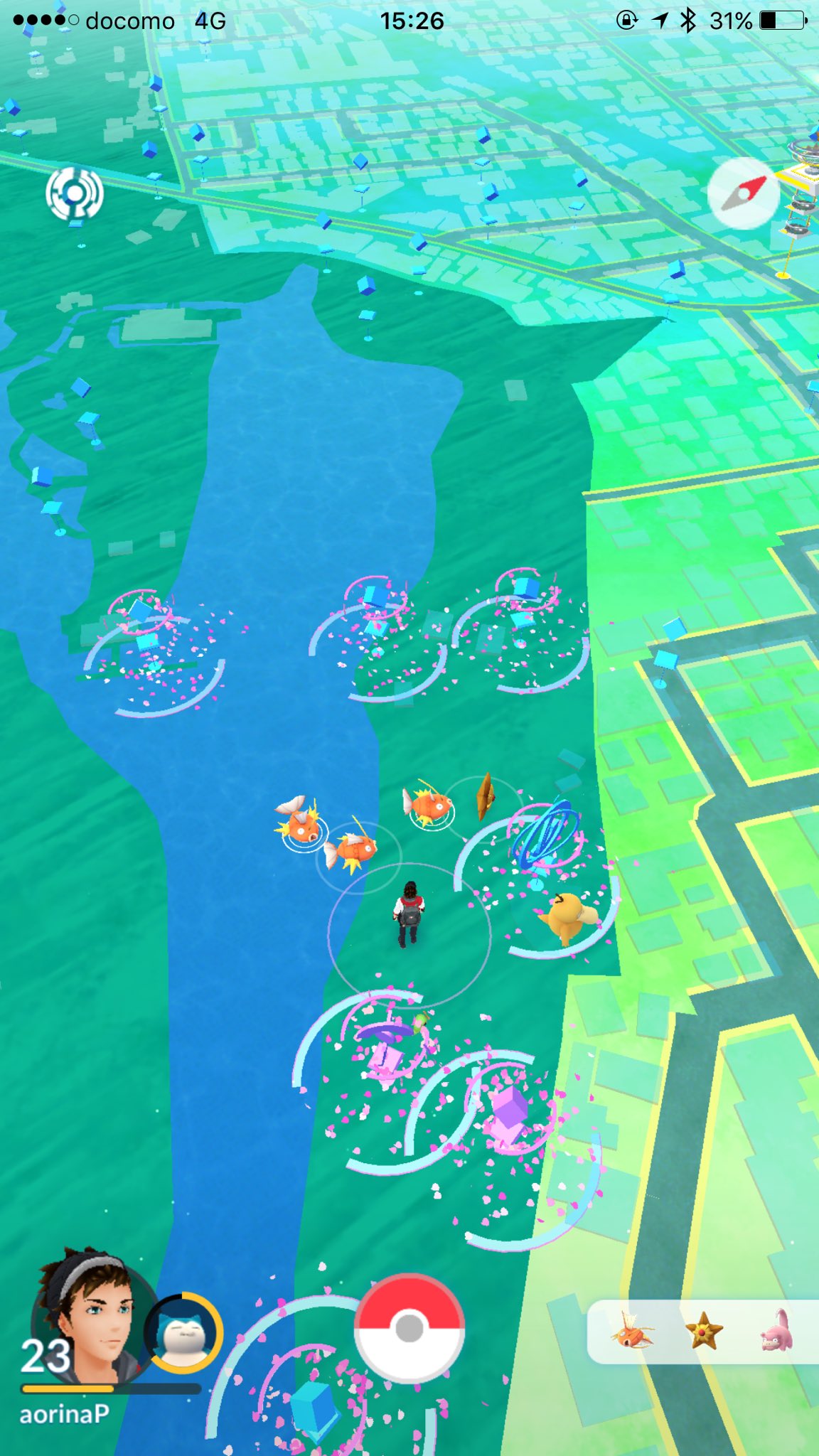 サーター安打ギー ポケモンgoのコイキングを進化させてギャラドスにするために 井の頭公園に来て正解 コイキング出すぎて モンスターボールが足りない ポケモンgo ギャラドス 進化 吉祥寺 井の頭公園 T Co X8xttcrede Twitter