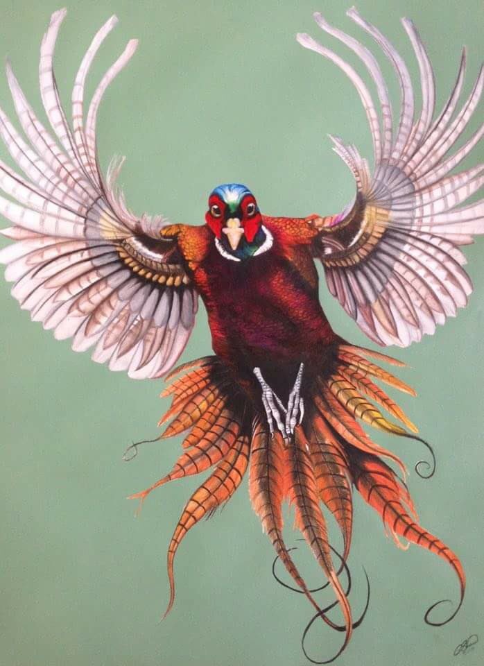 GameboreUK's tweet photo. Wishing all of our friends and followers a magnificent pheasant season! Painting by @Clareshawartist https://t.co/AQpGJ5lCJD