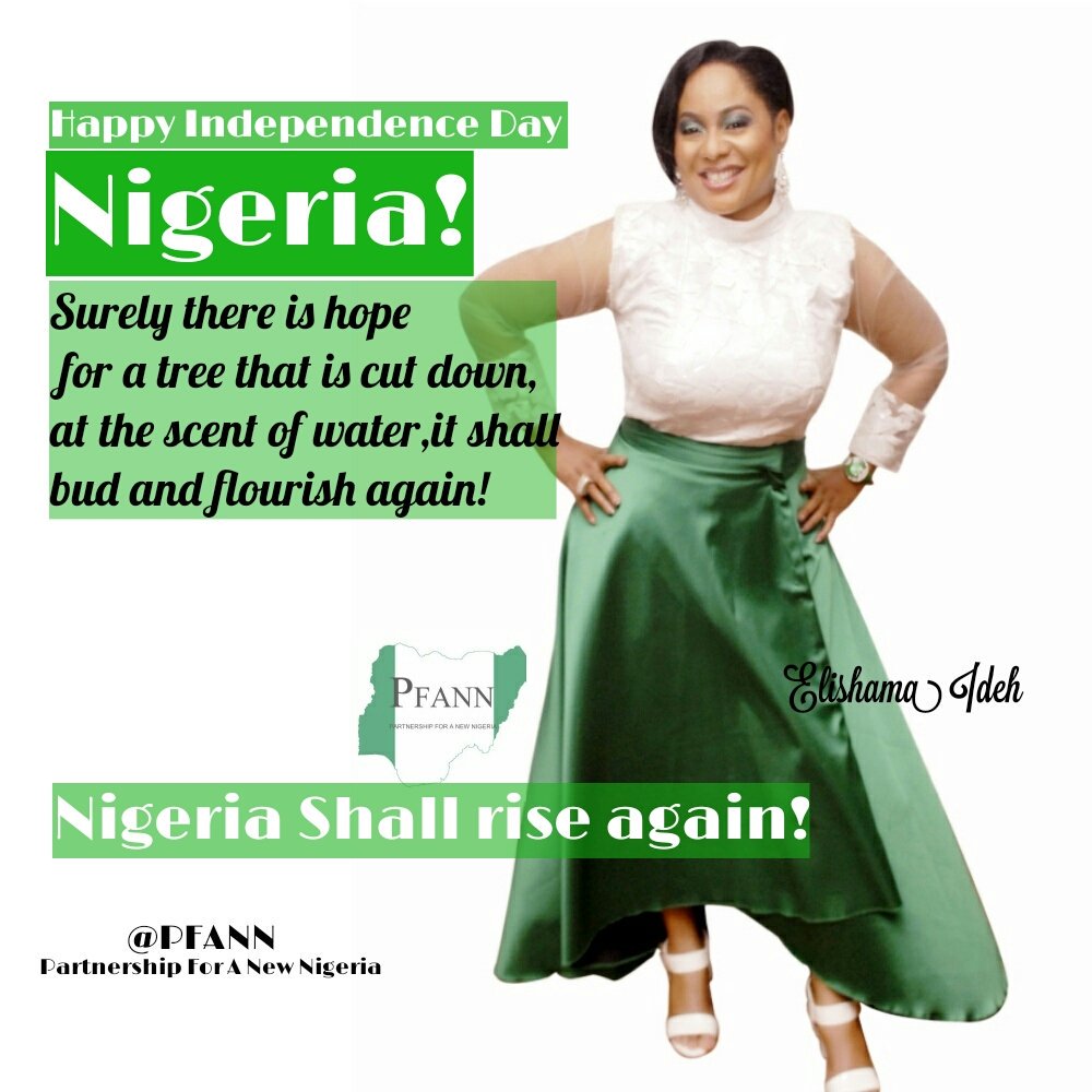 PFANNGR's tweet photo. Our Nation shall rise again!
#GodBlessNigeria https://t.co/wr1ReSjf4N