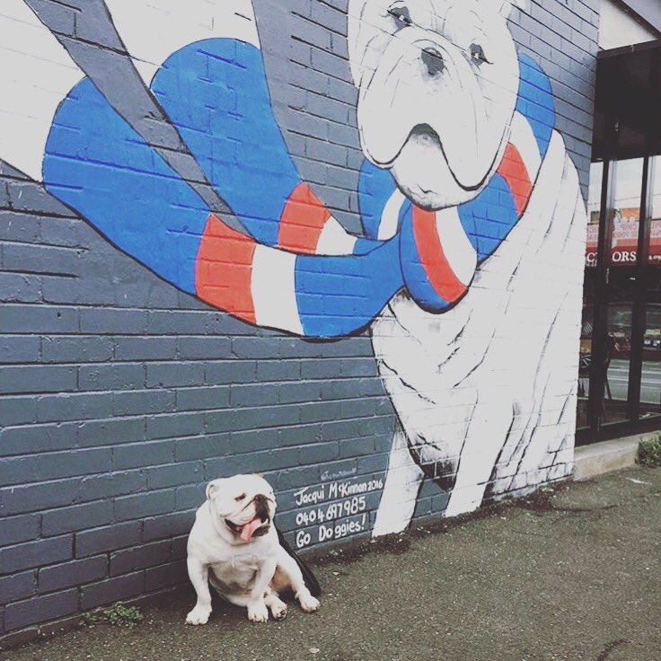 ashbattle's tweet image. WOOF WOOF NUFF SAID (📷: derrynpagan)