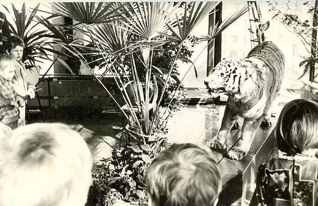 1977 год. Такой зверь стоял в фойе Владивостокского цирка
#старыйвладивосток #владивосток #история #ретро #oldvladivostok #oldvdk #vdk