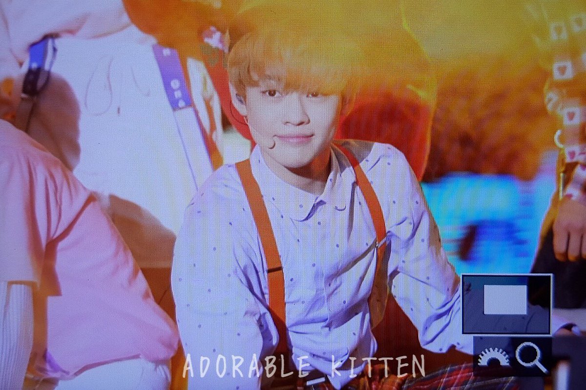 ADORABLE KITTEN❣ tweet media