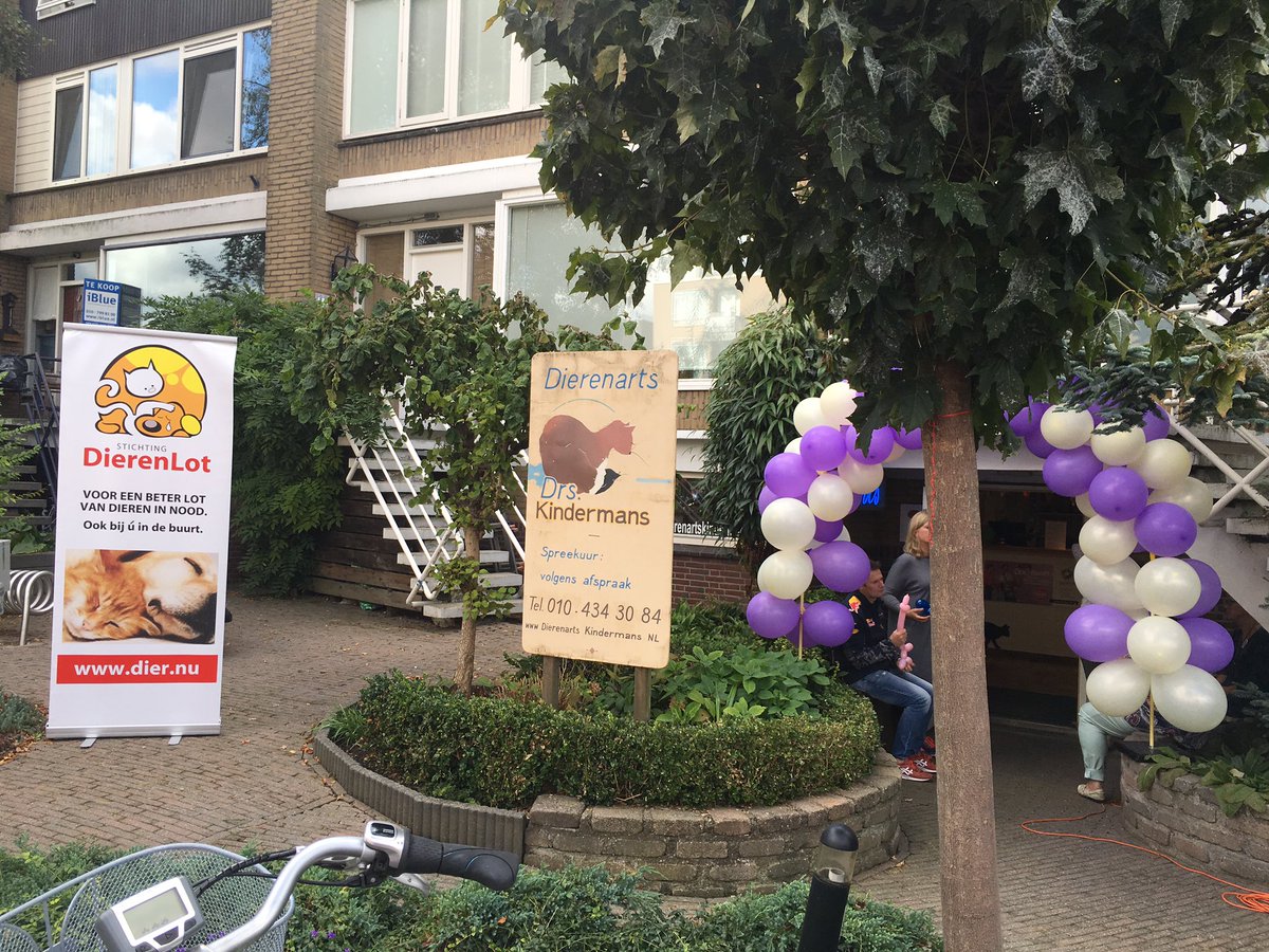 vanhengeltje's tweet photo. #LODD2016 @Dierenkliniek Kindermans druk bezocht. Tot 16.00 kun je een kijkje achter de schermen nemen. https://t.co/6gEbYtyYur