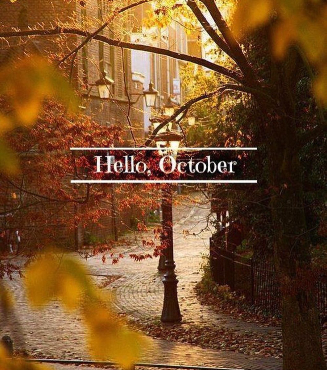 #Halloween #cosy #Saturday #October  ! 👻