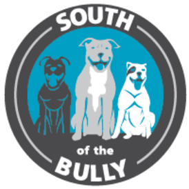 daveddot's tweet photo. @SouthoftheBully is at PetSmart 5401 S. Blvd. Charlotte TODAY!  11-2!  Come Find your New Best Friend!! @Ssmiley231 @WBTV_News @wcnc  @dogs https://t.co/Q0XSu3HKUP