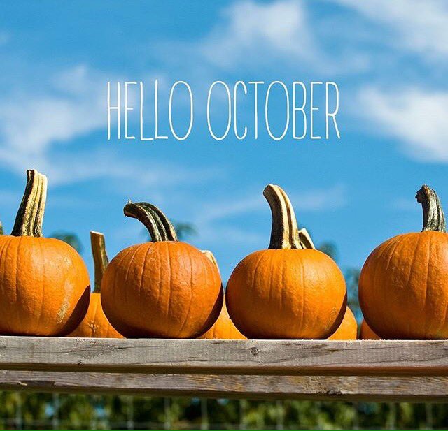 Blue Box Trends (@blueboxtrends) on Twitter photo 