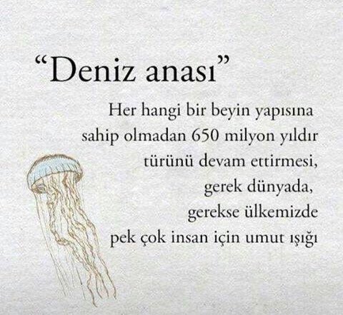 BilgimVAR's tweet photo. Pek çok insan için umut ışığı https://t.co/oCFruU2MxS