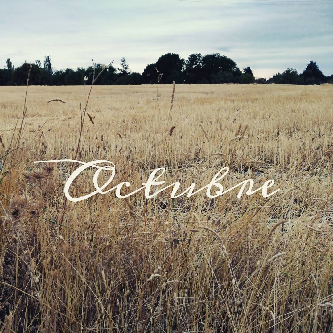 Missweddingplan's tweet photo. Comenzamos octubre con tiempo de verano ☀¡Buen fin de semana! #holaoctubre #weddingplanner #wedding #boda #inspiracion #bodasmadrid https://t.co/lq8ECbzOQ0