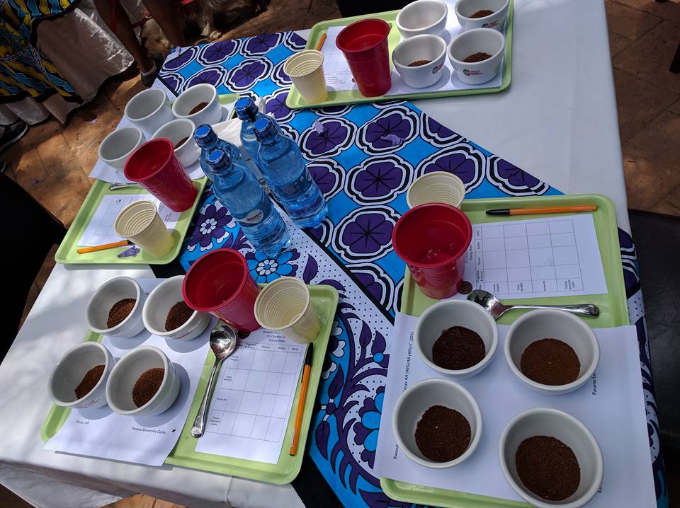 FoodMarketNBO's tweet photo. Stephen Vick live in action at The Food Market today at Emerald Garden hosting the 2nd Public Coffee Cupping! Join us! Tickets are only 500! https://t.co/8PEdopQW8z