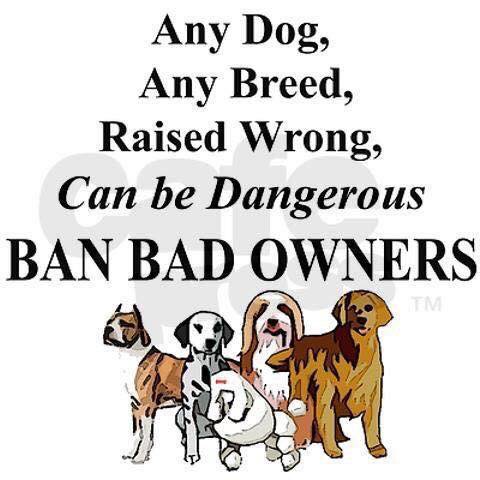 kimodo007's tweet photo. Ban bad owners - Ps any decent dog lover wouldn't even use the term "owner" you own shoes not creatures. https://t.co/R3IQChw97U