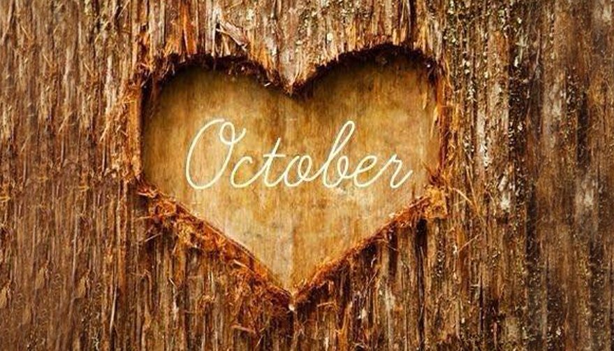 We always ' #fall ' in love with this time of year ... Happy #October Everyone!