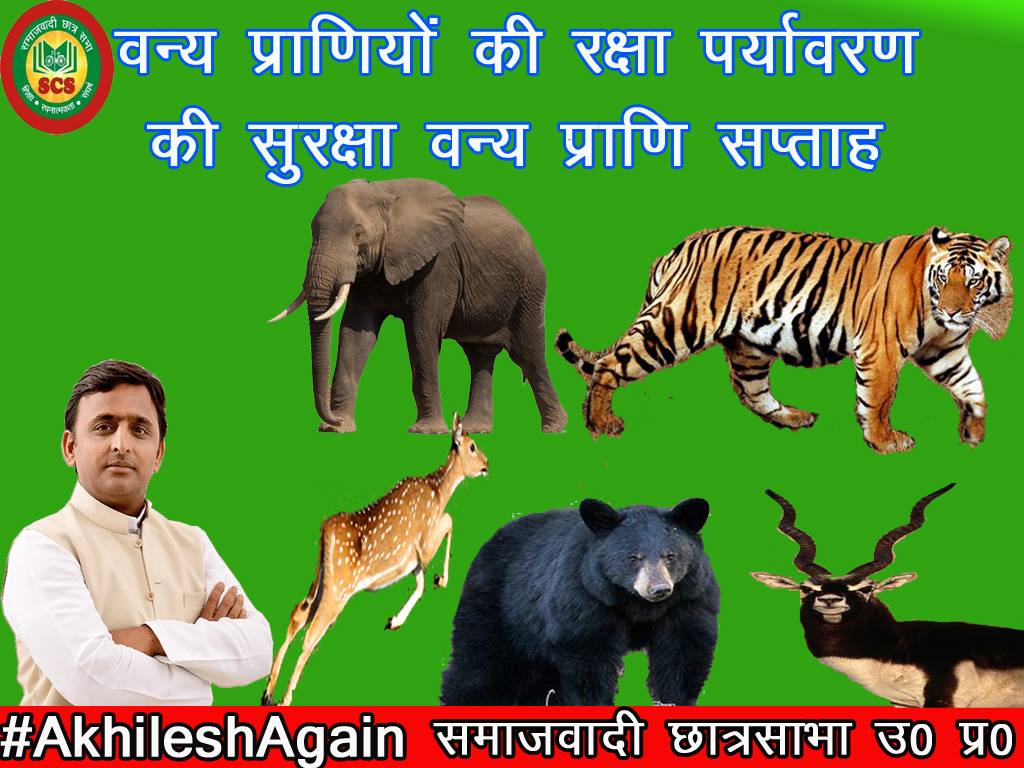 chatrasabha's tweet photo. वन्य प्राणियों की रक्षा पर्यावरण की सुरक्षा वन्य प्राणी सप्ताह 1 अक्टूबर से 7 अक्टूबर 2016
#AKhileshAgain
@yadavakhilesh @samajwadiparty https://t.co/32NcjDjn9V