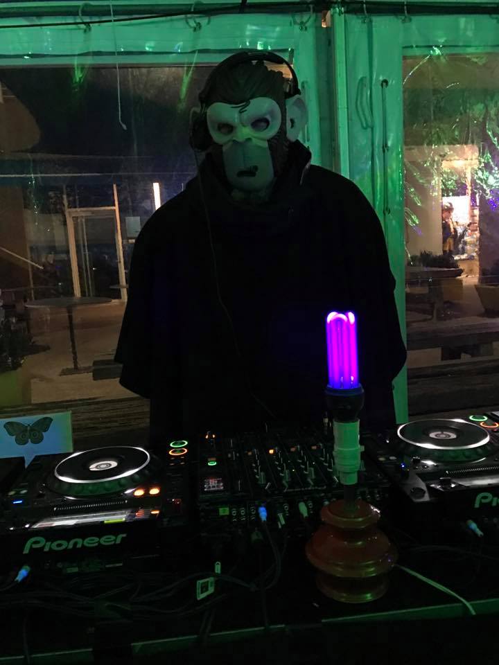 salamancamoves's tweet photo. What a great night! The #SalamancaMoves Backyard Studio in Salamanca Square is the place to be right now.

(images by Ruth Langford) https://t.co/otRpbaPyX8