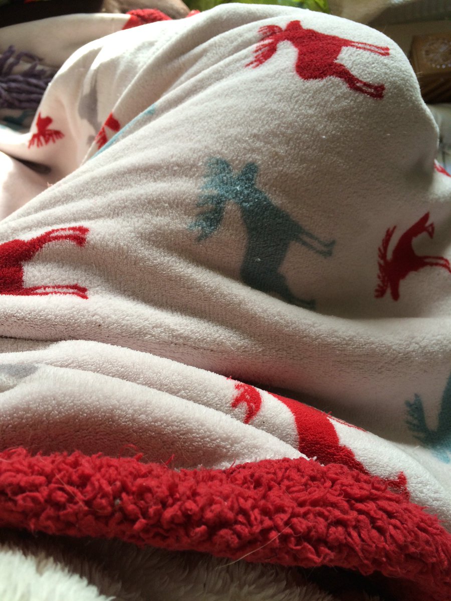 LexxiieJ's tweet photo. Fluffy blanket and pjs, healthy snacks, a massive bottle of water and #HolbyCity reruns... #poorlyday #duvetday #feelingcrappy #needcuddles https://t.co/g851OJgUcF