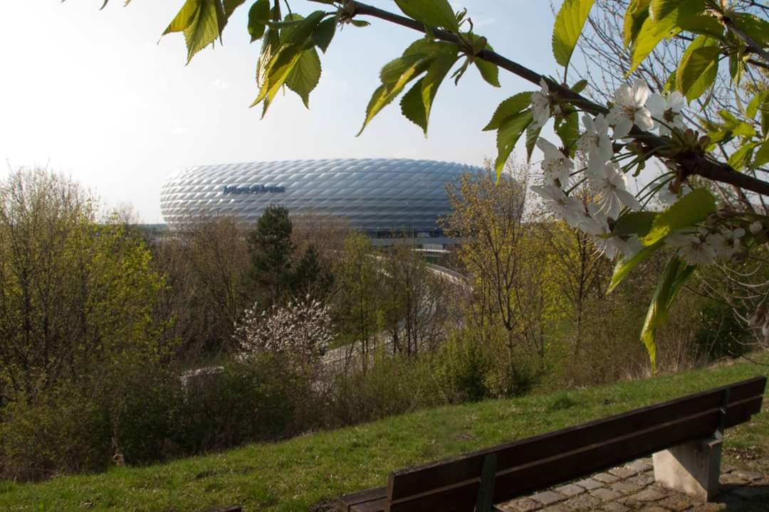 Davidijanic's tweet image. Allianz Arena😍⚽❤
The most beatiful stadium🏟👑