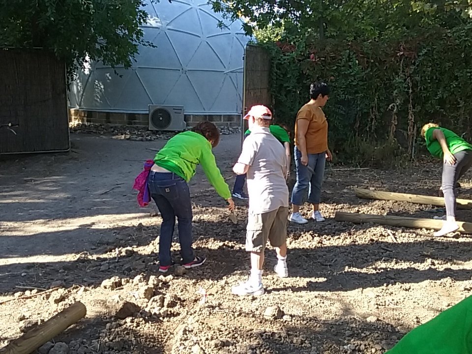 JManuelleonp's tweet photo. MADRID con huertos X aniversario @iberdrola #voluntarios10 https://t.co/RbE5UqwtAL