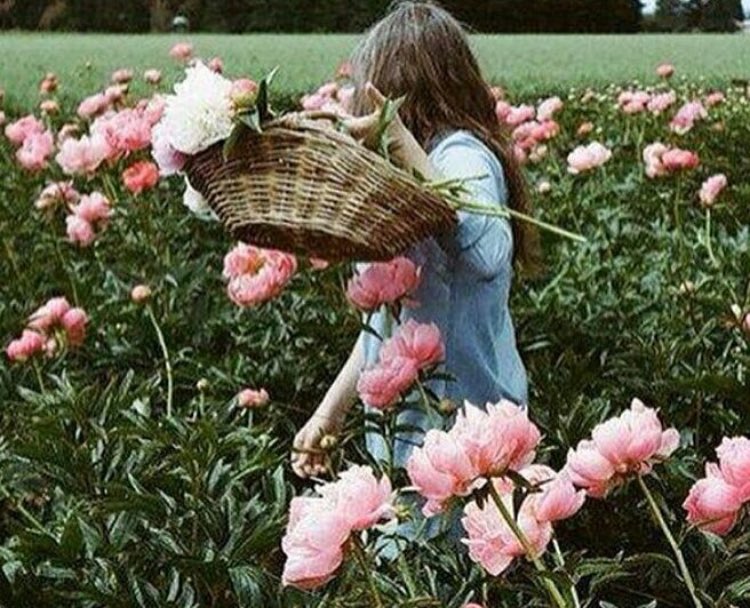 ،،
،،
اللهم أحمي قلبي و أرزقني من خيرك الذي لايفنى و كف عني سوء خلقك 🍂🌸
،،
،،

 #قروب_راقي_للدعم