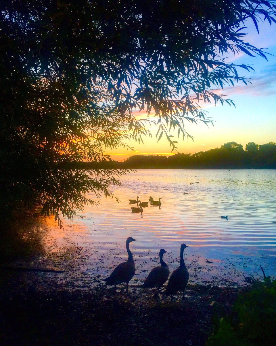 SamHarr32750996's tweet photo. #rickmansworth #aquadrome #autumn #sunset https://t.co/8OH4DEbtb8