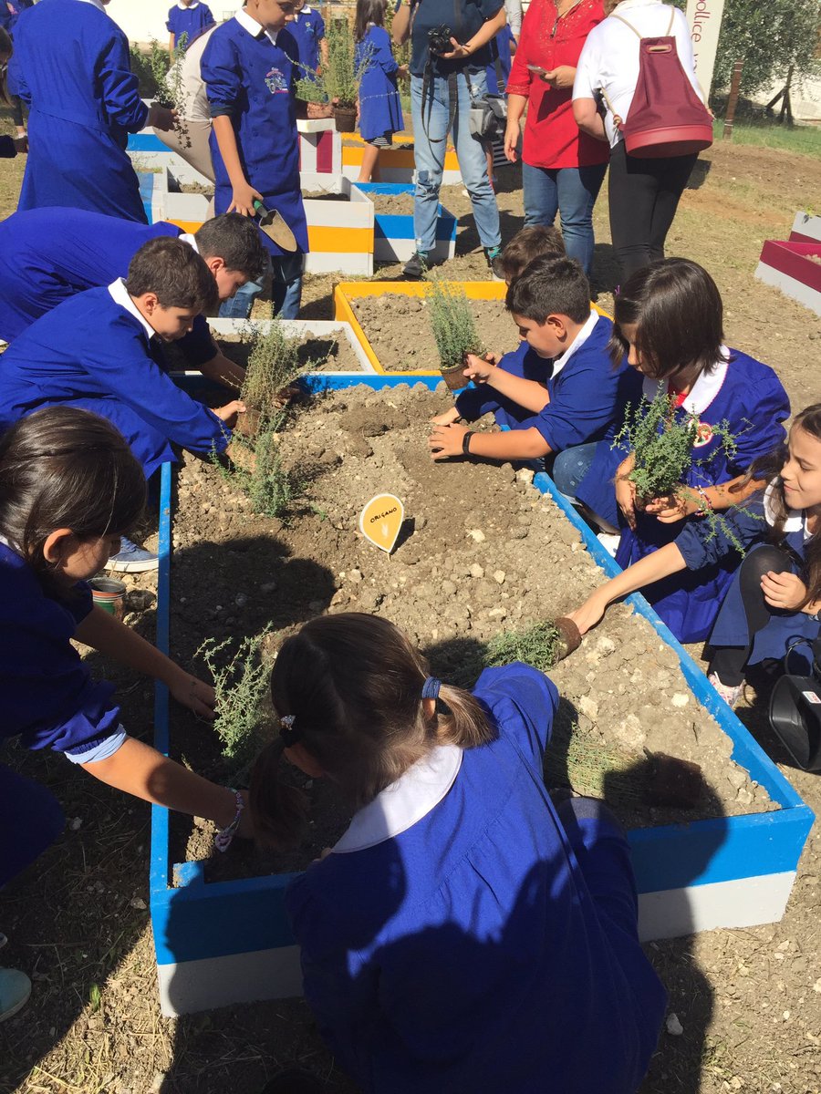 materainside's tweet photo. @Matera2019 prende forma: ecco il primo community garden! :D
Che gioia! :)

La notizia >> https://t.co/bNfoF3oEjT :D https://t.co/hZBlMnQMHG