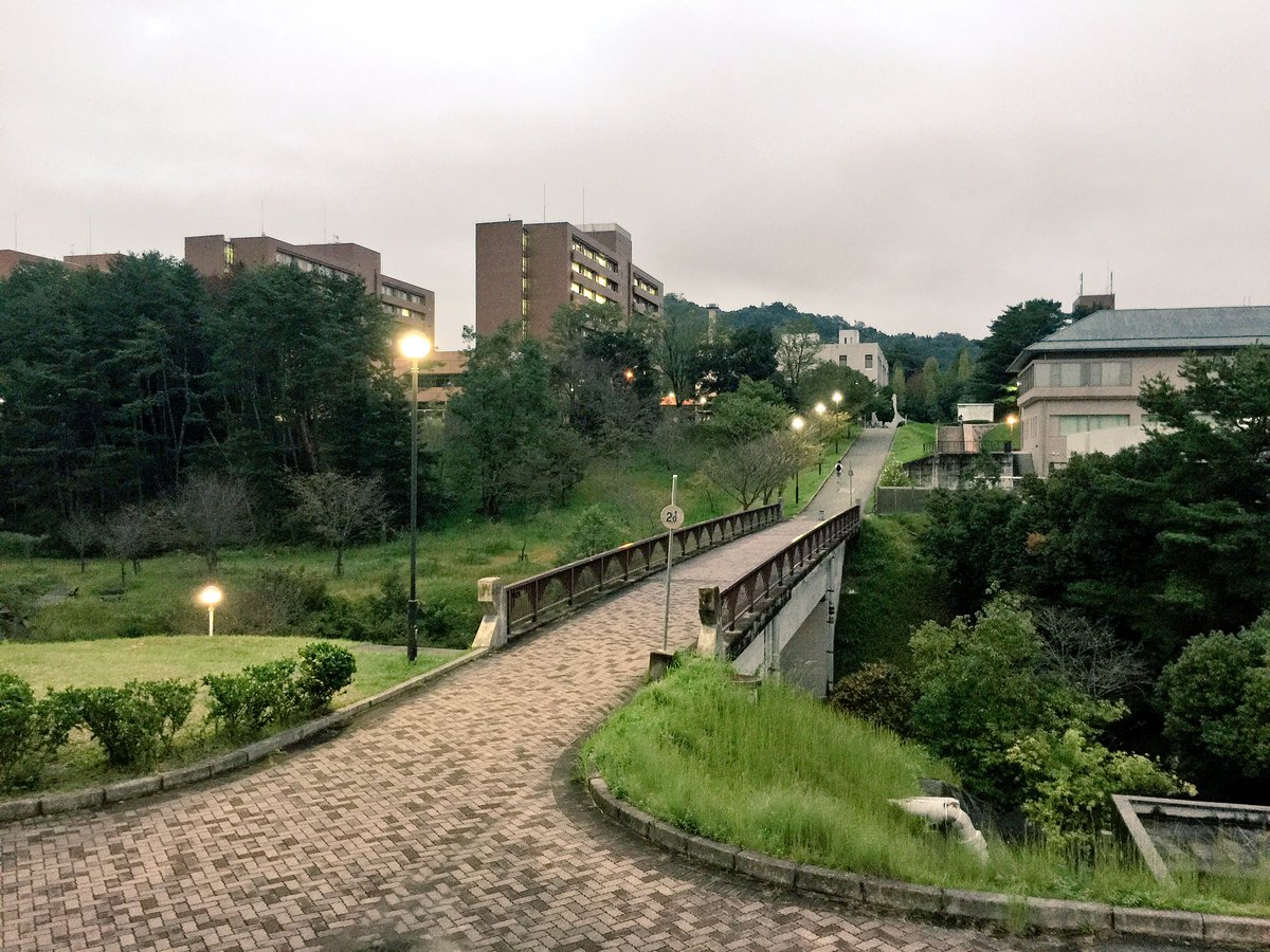 harmondmarte's tweet photo. I am in love with my new campus. #HiroshimaUniversity #Hirodai covered with trees and cradled by mountains. https://t.co/94JRIoIStw
