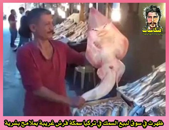 سمكة قرش بملامح بشرية ظهرت في سوق لبيع السمك في تركيا