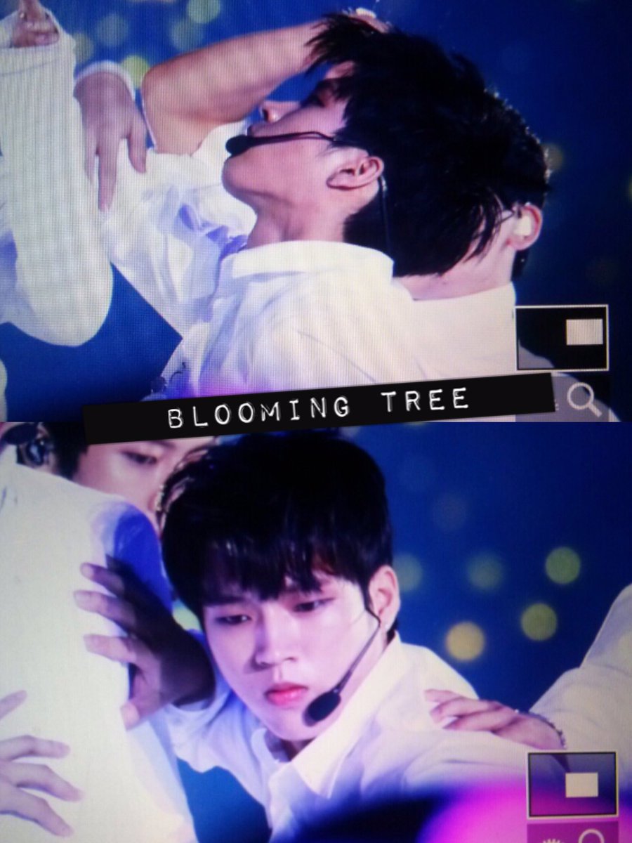 bloomingtree_wh's tweet photo. 161001 부산원아시아페스티벌 #우현 #인피니트 https://t.co/FCNVip1NSa