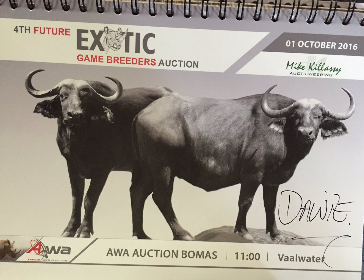 DawievdL's tweet photo. 4th Future Exotic Game Breeders auction ! #PSGInsure leading from before insuring #Inala and still the preferred choice of broker ! https://t.co/uGEmRnEq92