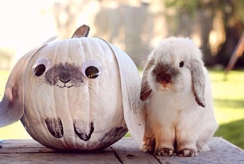 NunziaInsanity's tweet photo. #1stoctober #Rocktober is Here! Let's Rock Out...πΆ
https://t.co/1q6CgFqKNm #SOI #OriginalRock #Buzz for all #FriendsofInsanity ππΌπππ€π» https://t.co/w8exkHNG6L