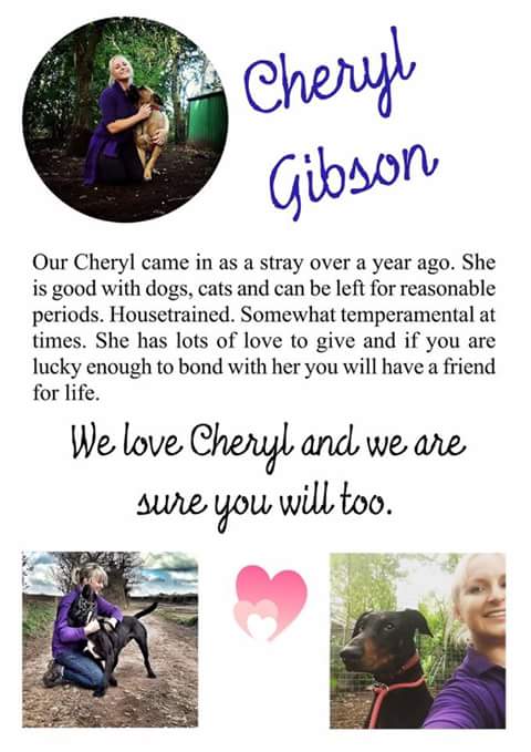 StTrumper's tweet image. 