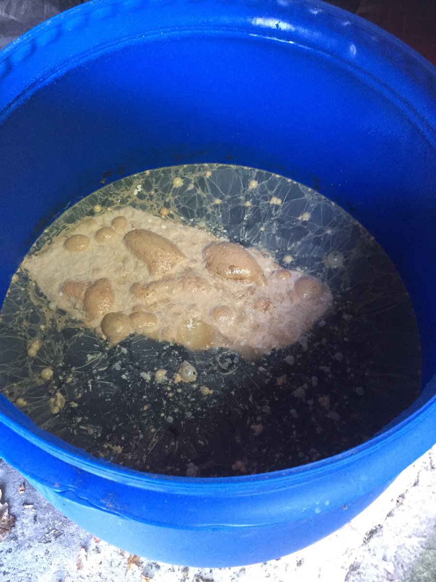 TraffordMill's tweet photo. Still have plenty of #cider to bottle. Doesn't that yeast look good. #chester https://t.co/tznFQbHFRG