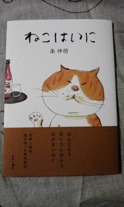 南伸坊先生の「ねこはいに」届きました!めっちゃいい～ 
