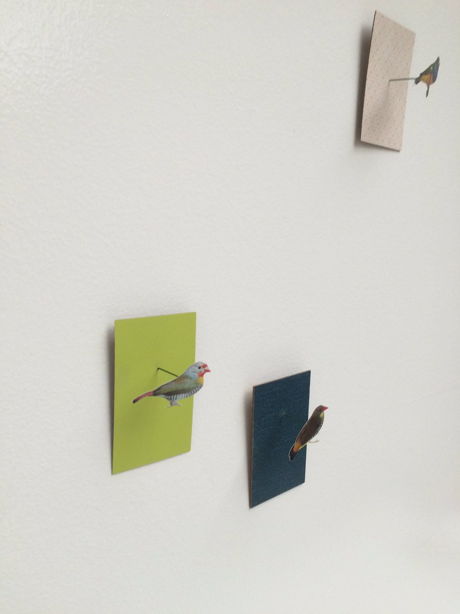 Caroline Wright tweet media