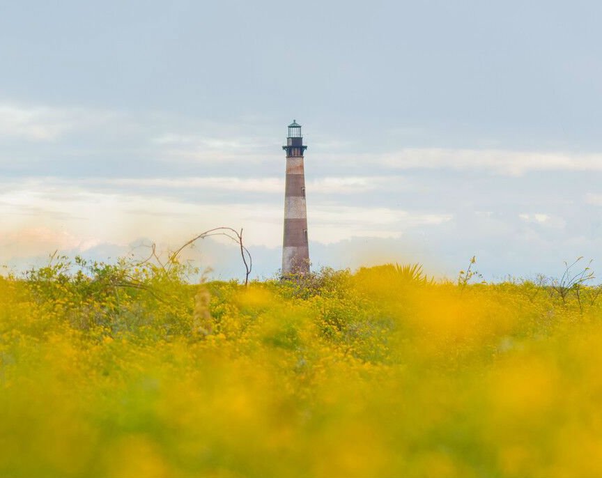 Folly Beach tweet media