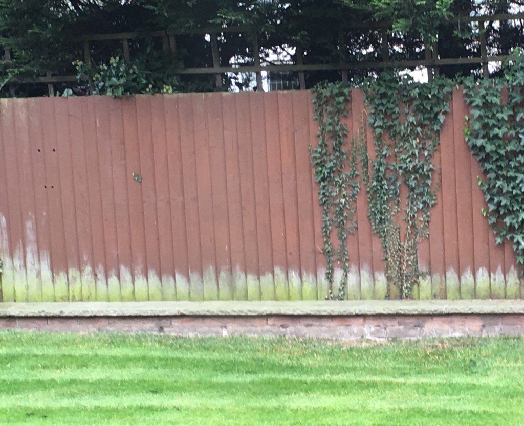 trg_lawns's tweet photo. Was this fence painted using a waterfall methodology? I.e. None of it ever got finished. #agile is best. https://t.co/NvqsTx3Nvq