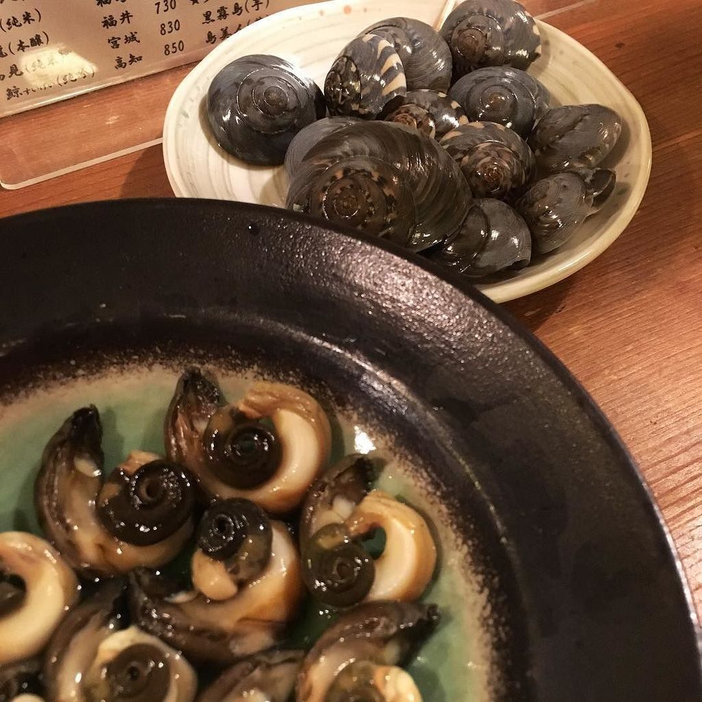 ダンベイキサゴ