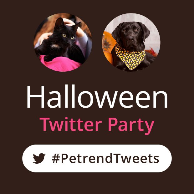 CharlotteReed's tweet image. Are and your pets ready for #Howlween?  Get #petprepared w/ me.  #PetrendTweets TP on 10/5 at 1PM.
