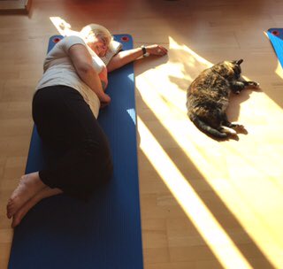 McCarthyPilates's tweet image. Tackling the side lying work at the studio this morning....#catpilates #fallingasleepdoingpilates