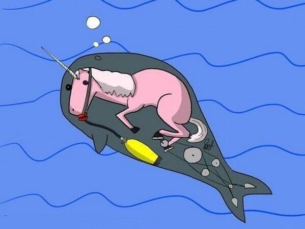 sarahhyland87's tweet photo. @MeaghanDill Narwhals are just unicorns that like to scuba dive.

#whaleycorn 
#WhaleHumor https://t.co/yGatGl06pQ