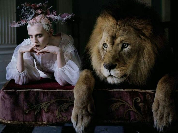 piraco75's tweet photo. #lateFF @MiuVermillion @danielamacorin @BeautifulBzarre @jasmoonbutterfl @DanijelaKrha
~Tim Walker https://t.co/XZwoxDnoc8