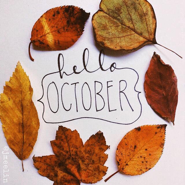 saovsu's tweet photo. Hello to a great time of the year! Can't wait for bonfires, s'mores, apple cider, and all the things of fall. 😌🍂🎃☕️🔥 https://t.co/mUUeMHZJwF