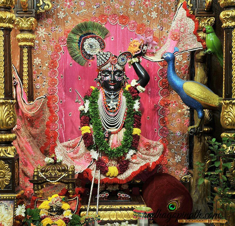 MirchiJeeturaaj's tweet photo. #Jaimatadi @Mirchimumbai par @FalguniPathak12 ke passes saari #NavratriSpl mein jito nd #HaloHalo #RamjhatKarwa https://t.co/SsYiIFaBxy