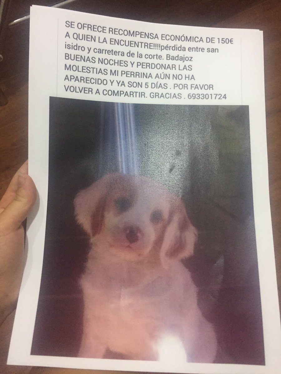rociocpinto's tweet photo. PORFAVOR DIFUNDIR!! https://t.co/pYCOplkDM9