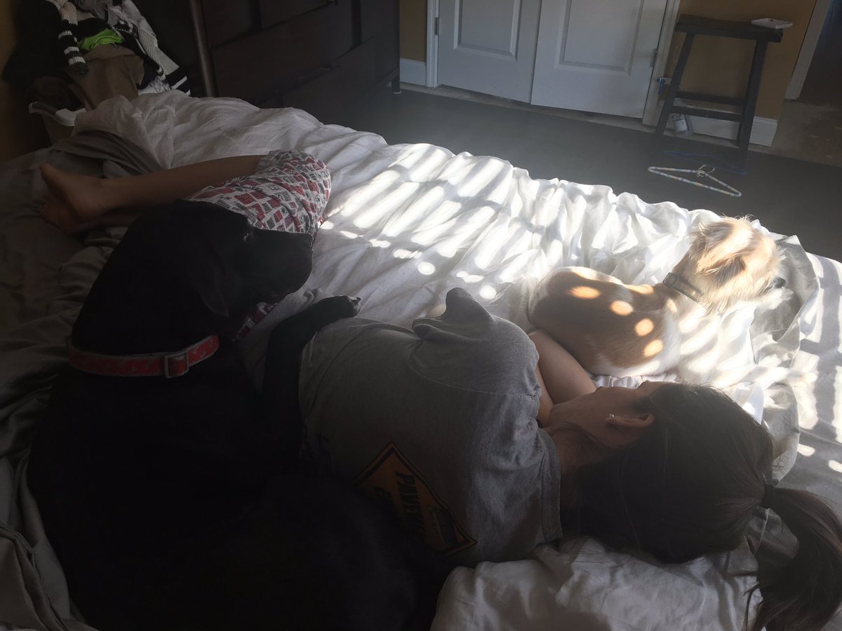 The most hyper-with-it individual I know... until she gets sick. These are some brave pups!