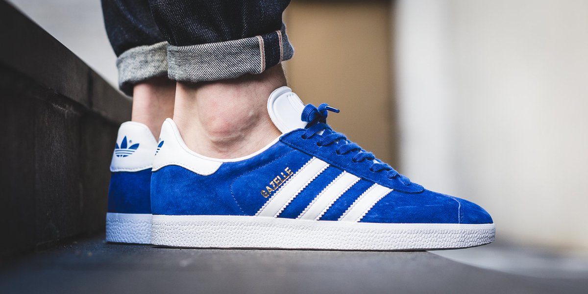 gazelle collegiate royal