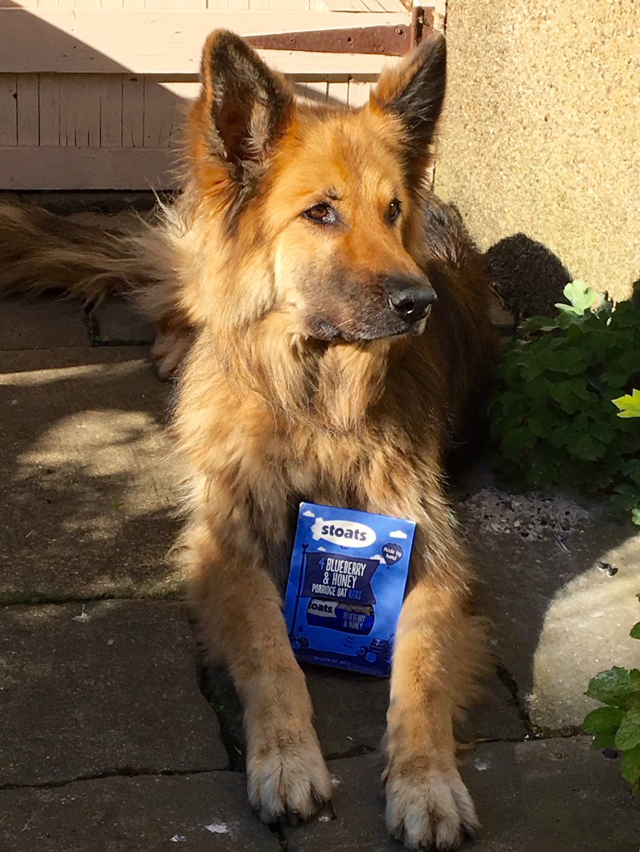 SCGS_R's tweet image. Troy guarding our @Stoats    Bars, before our walk next week. 95 miles in 48 hours in aid of Second Chances GSR. sponsor us on just giving.