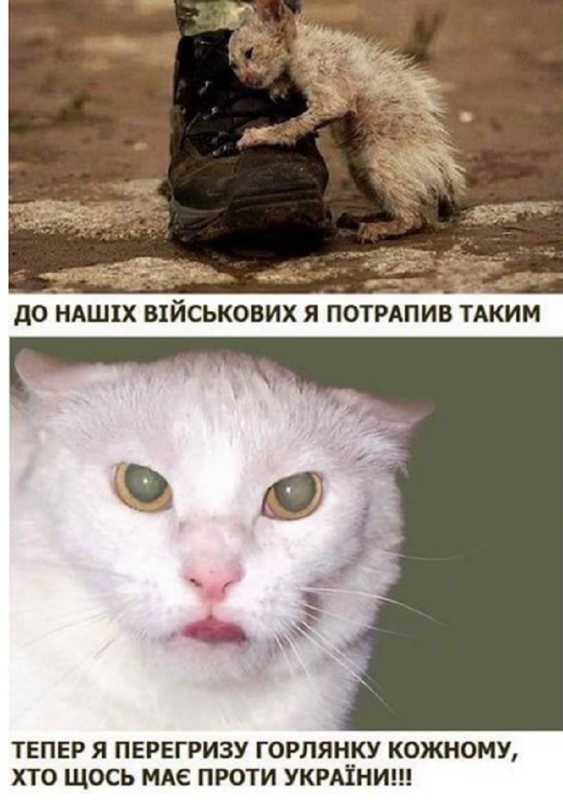 Боевики открывали огонь по нашим позициям 47 раз за сутки, по Зайцево били 120-м калибром - Цензор.НЕТ 2668