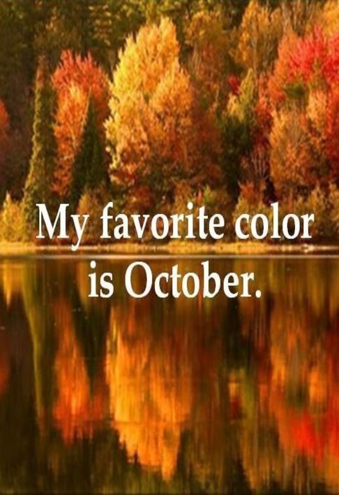 OzarkMO's tweet photo. October is here.  Fall is a great time of year.  What's your favorite season? #lovefall https://t.co/FpZGvuB8G4
