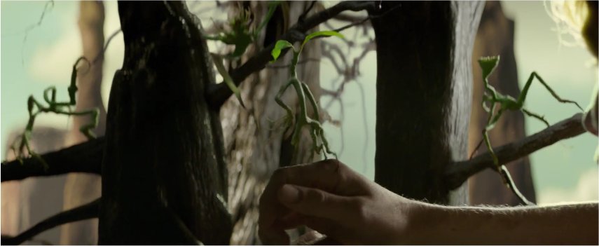 GazetteSorcier's tweet image. Outre Picket, Newt a 3 autres #botruc nommés Titus, Finn et Jeremy ! Source ; ow.ly/KQxH304EQUK