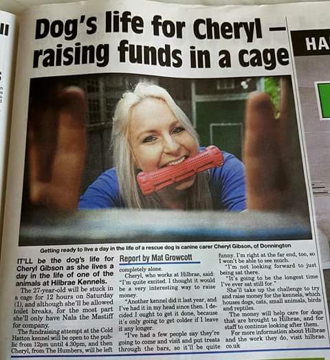 StTrumper's tweet image. Pretty cold wet and miserable til 12 tonight for cheryl and narna raising funds for hilbrae please give or rt