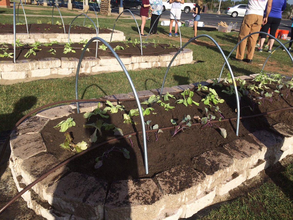 Christy_writes's tweet photo. Super excited for our students! #flashgarden #oklaed @okcharvest @OKCPS https://t.co/GGaMtoqpVD